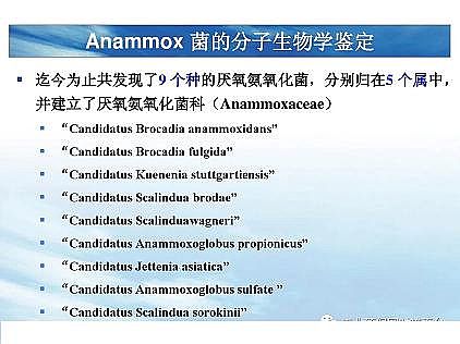 ���|�������͚��������a�S��һ���f͸������������ˇ