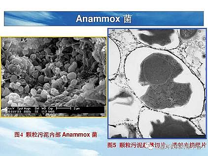 ���|�������͚��������a�S��һ���f͸������������ˇ