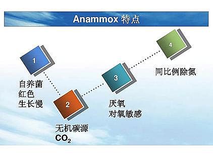 ���|�������͚��������a�S��һ���f͸������������ˇ