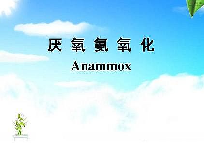 ���|�������͚��������a�S��һ���f͸������������ˇ