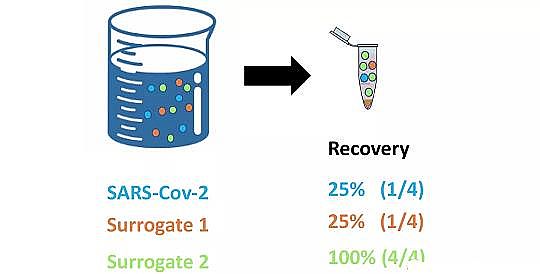 高品質聚合氯化鐵生產廠家【美國】36種檢測污水中新冠病毒方法:檢測污水可以跟蹤新冠病毒的傳播趨勢