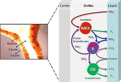 �|���J�C�ۺ��Ȼ��XPAC���a�S�һ��ڌ��H��ˮA2/O��ˇ�БҸ������������p�����Fȱ������Ĥ�Ѕ������������ĸ߶ȸ���