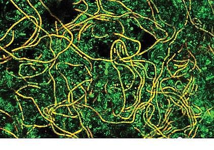 �ϵ���x�Ӿ۱�ϩ����HPAM���a(ch��n)�S��​����ˮ�S�����\(y��n)�а����Ć��}����̽ӑ��ˮ�S�Č�(sh��)�(y��n)���n�}�о�