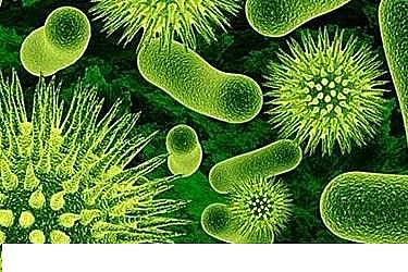 �ϵ���x�Ӿ۱�ϩ����HPAM���a(ch��n)�S��​����ˮ�S�����\(y��n)�а����Ć��}����̽ӑ��ˮ�S�Č�(sh��)�(y��n)���n�}�о�