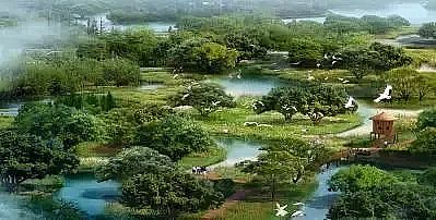 �ϵ���x�Ӿ۱�ϩ����HPAM�S��​����ֲ����I�B��ˮ�w�ޏ��о�