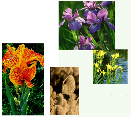 �ϵ���x�Ӿ۱�ϩ����HPAM�S��​����ֲ����I�B��ˮ�w�ޏ��о�