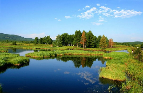 �ϵ���x�Ӿ۱�ϩ����HPAM�S��​����ֲ����I�B��ˮ�w�ޏ��о�