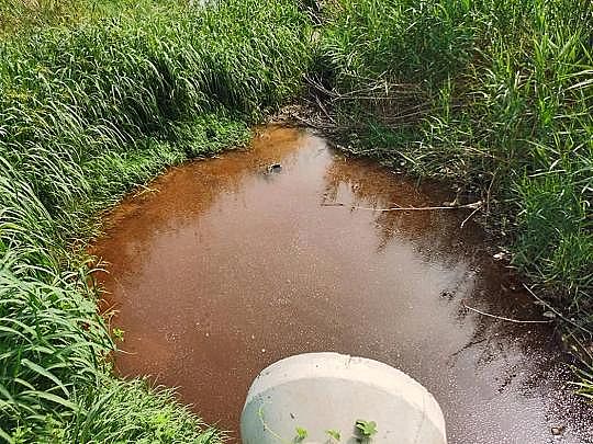 �Ϻ�5A���ӺY���a(ch��n)�S�ҡ��h(hu��n)�����참�������@!ɽ�|һ�a(ch��n)�I(y��)�@ÿ��4000�������Uˮֱ��!������ţ��ˮ�����׳���(bi��o)3474��