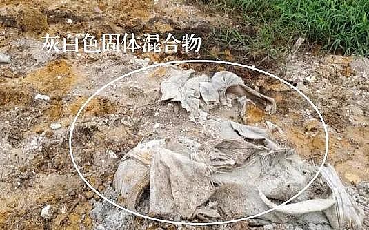 �Ϻ�5A���ӺY���a(ch��n)�S�ҡ��h(hu��n)�����참�������@!ɽ�|һ�a(ch��n)�I(y��)�@ÿ��4000�������Uˮֱ��!������ţ��ˮ�����׳���(bi��o)3474��