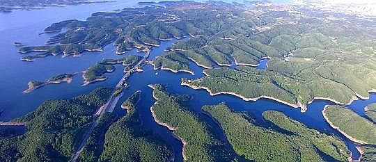 �ϵȷ��x�Ӿ۱�ϩ����NPAM�S�������h(hu��n)����˾�����¡����Ƿ��A������4�f(w��n)����!������(w��n)�}��ν��}?