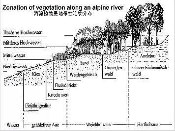 �Ϻ�ʯӢɰ�V�ϏS�ҵ��ӵ��Ľ���Ȼ�ޏ͌��`