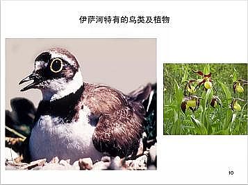 �Ϻ�ʯӢɰ�V�ϏS�ҵ��ӵ��Ľ���Ȼ�ޏ͌��`