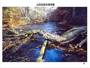 �Ϻ�ʯӢɰ�V�ϏS�ҵ��ӵ��Ľ���Ȼ�ޏ͌��`