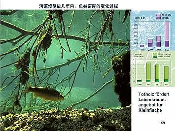 �Ϻ�ʯӢɰ�V�ϏS�ҵ��ӵ��Ľ���Ȼ�ޏ͌��`