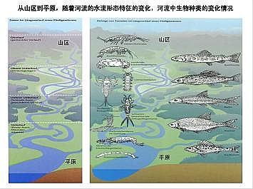 �Ϻ�ʯӢɰ�V�ϏS�ҵ��ӵ��Ľ���Ȼ�ޏ͌��`