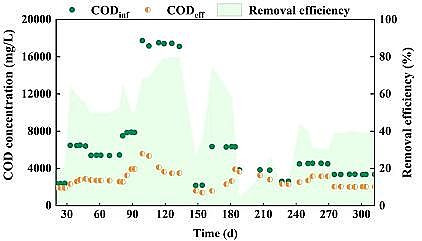 優質碳源廠家生活垃圾焚燒廠滲瀝液厭氧氨氧化脫氮效能及微生物機理研究