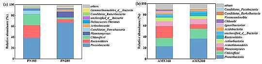 優質碳源廠家生活垃圾焚燒廠滲瀝液厭氧氨氧化脫氮效能及微生物機理研究