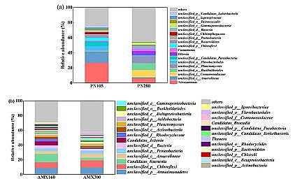 優質碳源廠家生活垃圾焚燒廠滲瀝液厭氧氨氧化脫氮效能及微生物機理研究