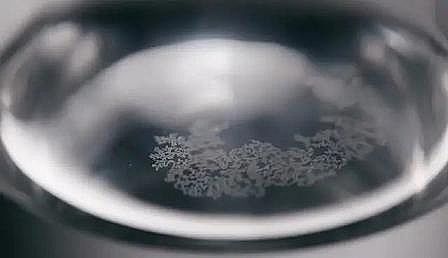 上好濾料海綿鐵生產廠家白色漂浮物的真相