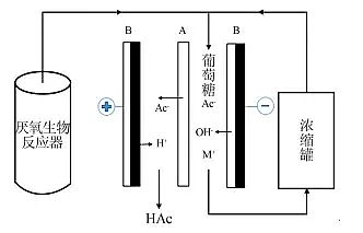 �Ϻ÷��x�Ӿ۱�ϩ����NPAM���a(ch��n)�S���p�OĤ늝B�����g(sh��)���о��M(j��n)չ