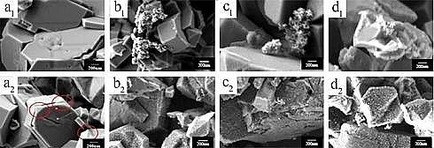 �X�F�ۺ��Ȼ��X�FPAFC�S�҉A����ZSM-5ؓ�d���ٽM�ִ߻��������⹤�I(y��)�Uˮ