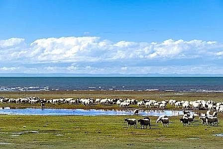 �Ϻ��w�S��?y��n)V�ϏS��ؔ(c��i)�������_(d��)2022��ˮ��Ⱦ�����Y���A(y��)�㣬͸¶��ʲô��̖(h��o)?