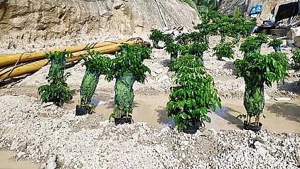 �๦�ܷ������͚��������a�S������h�������������ˮ̎��S��������ϵ�y���c�c��!