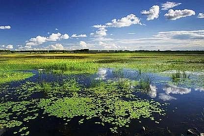 �طN�����ɽ�r�V�����a�S���҇���ر��o����플��OӋ�������������_��