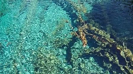 �ϵ���ˮñ���a(ch��n)�S�Ҹ�؛ | ˮ�|(zh��)��ô���?