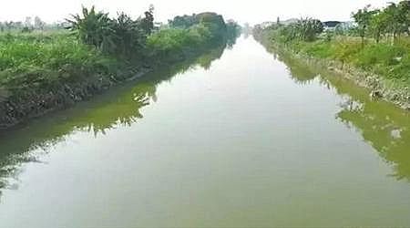 �ϵ���ˮñ���a(ch��n)�S�Ҹ�؛ | ˮ�|(zh��)��ô���?