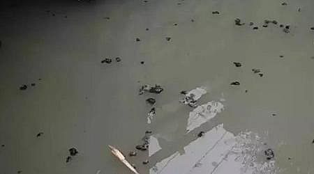 �ϵ���ˮñ���a(ch��n)�S�Ҹ�؛ | ˮ�|(zh��)��ô���?