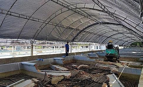 全新鵝卵石濾料廠家養殖尾水治理將有大動作!各地排放標準實行“地域定制”