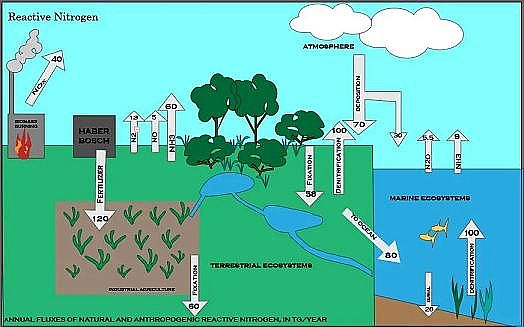 高性能生物火山巖濾料生產廠家這種氣體溫室效應是二氧化碳的300倍,卻一直被忽略
