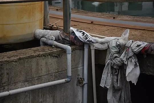 2022��ˮ̎�턩���a(ch��n)�S�����B(t��i)�h(hu��n)����ͨ��(b��o)�㽭��CODȥ����������͸¶��ʲô��̖(h��o)?