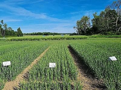 2022年乙酸鈉碳源生產廠家回收從污水中分離出來的尿液,竟然有這么多用途!