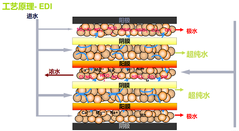 2022年硫酸鋁生產(chǎn)廠家EDI水質(zhì)變差的兩個原因及改善措施