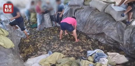 2022年組合填料廠家看到用腳踩出來(lái)的老壇酸菜,干環(huán)保和不干環(huán)保的都沉默了