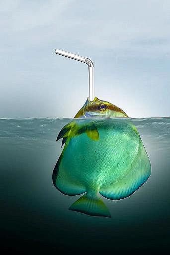 2022年液面覆蓋球廠家這個(gè)“垃圾大國(guó)”,真是讓我開(kāi)眼了!