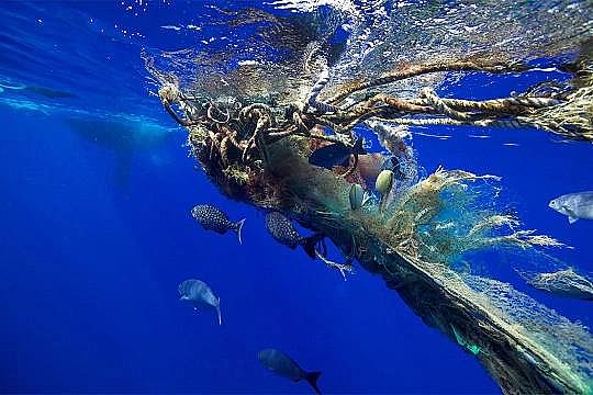 2022年液面覆蓋球廠家這個(gè)“垃圾大國(guó)”,真是讓我開(kāi)眼了!