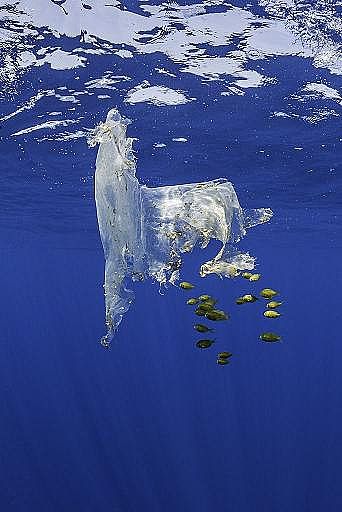 2022年液面覆蓋球廠家這個(gè)“垃圾大國(guó)”,真是讓我開(kāi)眼了!