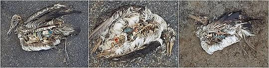 2022年液面覆蓋球廠家這個(gè)“垃圾大國(guó)”,真是讓我開(kāi)眼了!