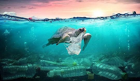 2022年液面覆蓋球廠家這個(gè)“垃圾大國(guó)”,真是讓我開(kāi)眼了!