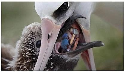 2022年液面覆蓋球廠家這個(gè)“垃圾大國(guó)”,真是讓我開(kāi)眼了!