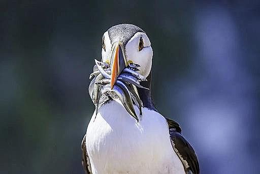 2022年液面覆蓋球廠家這個(gè)“垃圾大國(guó)”,真是讓我開(kāi)眼了!