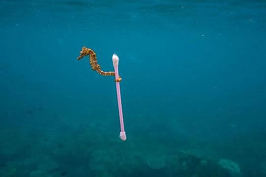 2022年液面覆蓋球廠家這個(gè)“垃圾大國(guó)”,真是讓我開(kāi)眼了!