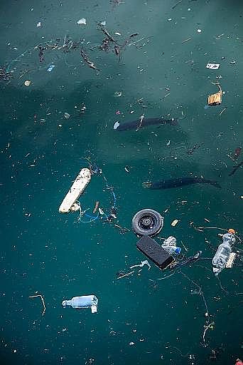 2022年液面覆蓋球廠家這個(gè)“垃圾大國(guó)”,真是讓我開(kāi)眼了!