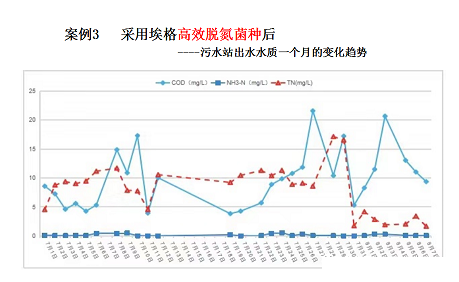 2022年活性氧化鋁球濾料廠家耐鹽菌種生化技術垃圾滲濾液/RO濃水/MVR母液提供一種新的低碳解決方案