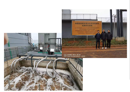 2022年活性氧化鋁球濾料廠家耐鹽菌種生化技術垃圾滲濾液/RO濃水/MVR母液提供一種新的低碳解決方案