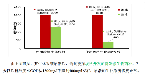 2022年活性氧化鋁球濾料廠家耐鹽菌種生化技術垃圾滲濾液/RO濃水/MVR母液提供一種新的低碳解決方案