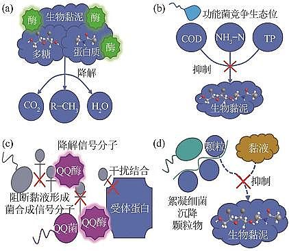 2022年阻垢劑循環(huán)冷卻水微生物調(diào)節(jié)水質(zhì)機(jī)理研究進(jìn)展